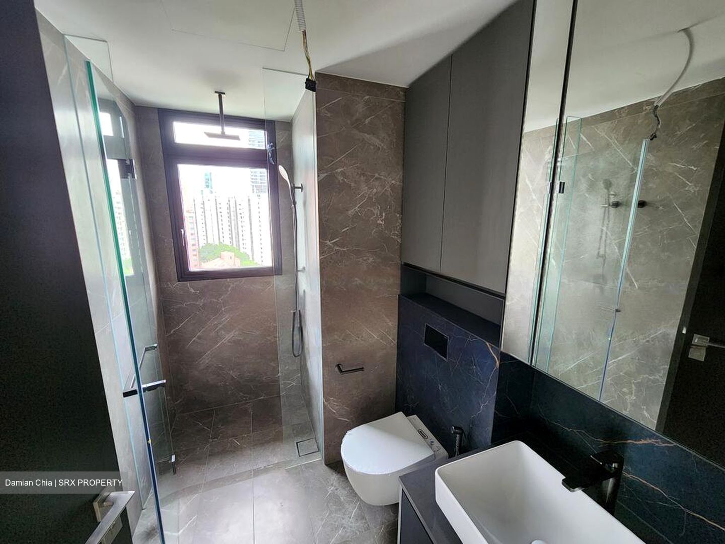 Irwell Hill Residences (D9), Apartment #460605441